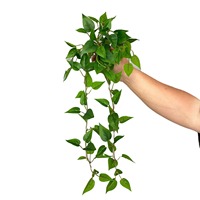 Plantes artificielles vertes tombantes en plastique, feuilles de simulation, mur végétal suspendu 49CM pour la décoration murale intérieure et extérieure