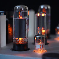 Amplificateur de puissance professionnel BRZHIFI, classe A, son HIFI, amplificateur à tubes, amplificateur de haut niveau, amplificateur mono-canal, home cinéma, audio stéréo