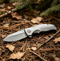 Couteau pliant de survie en plein air, camping, EDC, manche en alliage de titane, durable, personnalisable