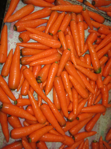 Mới tươi Cà rốt đỏ xuất khẩu từ Trung Quốc nông nghiệp Rau thực phẩm bán buôn xuất khẩu tươi Cà rốt hạt giống - Product Image 6