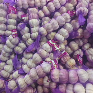 天然白色新鲜好农大蒜浓郁香气健康食品受欢迎印度尼西亚清真认证好价格霸王普蒂 - Product Image 4