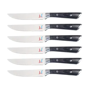 عالية الجودة 6 قطعة الفولاذ المقاوم للصدأ مسننة عشاء سكاكين المطبخ Pakka الخشب مقبض طاقم سكين لتقطيع شرائح اللحم