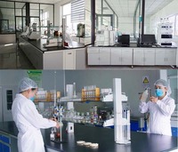 Poudre de Pandan Biologique Naturelle Pure, Qualité Alimentaire, Enrichie en Vitamines, Pour la Vente, Additif Alimentaire, Arôme de Pandan en Bouteille ou en Fût