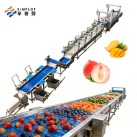 Machine de lavage entièrement automatique pour fruits et légumes, équipement de nettoyage de légumes à pulvérisation haute pression