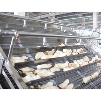 Lwt Fruit Groente Reinigingslijn Kern Plc Tandwielpomp Motor Voor Ananas Oranje Mango Knoflook Apple Tomaat Aardappel Wasmachine
