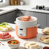 Cuisinière à pression électrique populaire 4L 5L 6L, décompression automatique, multifonction, pour les repas quotidiens en famille