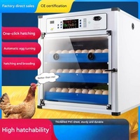 Incubateur d'œufs automatique solaire pour 136 œufs de poulet, incubateur solaire à vendre