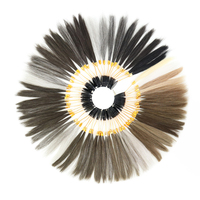 Nuancier de couleurs capillaires pour hommes, carte de couleurs de cheveux humains, palette de coloration pour hommes, outil simple pour barbiers et salons de coiffure