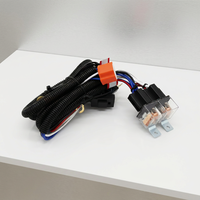 Kabel Ekstensi Relay Kit Lampu Kabut & Lampu Depan Mobil untuk Penggunaan Sepeda Motor, Elektronik & Peralatan Rumah Tangga, Berperingkat IP65