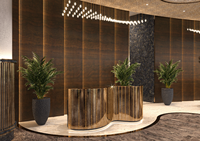 Aménagement d'espace élégant, design professionnel pour magasin de chaussures sur mesure, décoration complète du magasin, présentation moderne