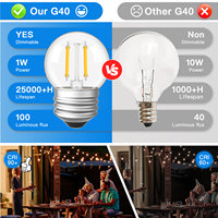 Lampe LED G40 longue durée 1W Source de lumière SMD avec verre en plastique transparent 220V CC pour la maison salon chambre