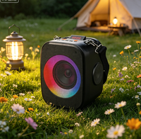 Altavoz de Karaoke Profesional ABS-4111 con Micrófono, Luz RGB Pulsante, Sistema de PA para Exteriores, Logotipo Personalizado de Fábrica, Envío en 7 Días, CE RoHS