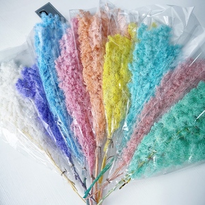 Hojas de Helecho Ming Secas Naturales, Reales y Conservadas, Ecológicas, Hechas a Mano, para Ramos de Boda, Decoración de Jarrones para el Hogar, Manualidades Florales, 50 Piezas - Product Image 2