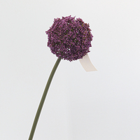 Großhandel Künstliche Chinesische Laternenblumen-Kugeln Allium-Blumen für Heimdekoration Festdekoration und Blumenarrangements