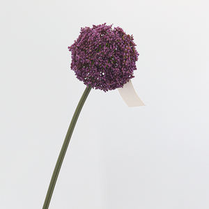 Boules de fleurs artificielles en gros, lanternes chinoises, fleurs d'<span class=keywords><strong>allium</strong></span> pour la décoration intérieure, la décoration de festivals et les arrangements floraux - Product Image 5