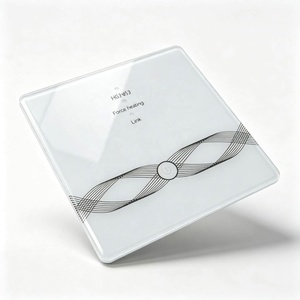 Plaque frontale OEM personnalisée en verre trempé anti-reflet avec découpes en forme de brique givrée, biseautée, impression laser et sérigraphie - Product Image 6