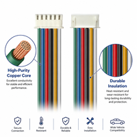 Arnés de cableado automotriz de 6 pines, conector de cable eléctrico de 6 núcleos con conductor de cobre para ensamblaje de sistemas de energía de vehículos