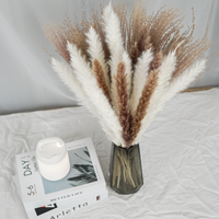 Buket Rumput Pampas Ramah Lingkungan Warna Beige Netral untuk Dekorasi Pernikahan, Hari Ibu & Hari Valentine Grosir