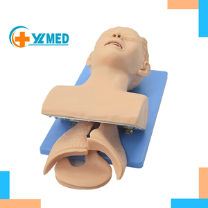Modelo de Treinamento Médico para Intubação Traqueal em Adultos, Modelo de Ensino Médico para Primeiros Socorros - Product Image 1
