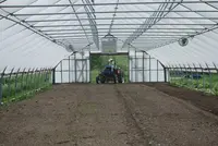 Tunnel Gothic Arch Plastic Tunnel Greenhouse China Manufacturer