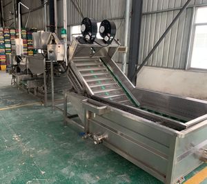 Machine à blanchir et à laver à froid les feuilles <span class=keywords><strong>de</strong></span> légumes (épinards, moringa) - Offre Spéciale - Product Image 6