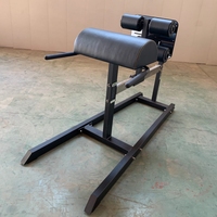Équipement de fitness professionnel pour salle de sport : Machine de développement des gluteus et des ischio-jambiers (Hamstring Raise)