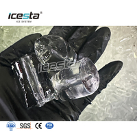 Machine à glaçons en tubes ICESTA 1 tonne 220V 60HZ pour la vente de glace aux Philippines |   Utilisation facile pour les entrepreneurs débutants