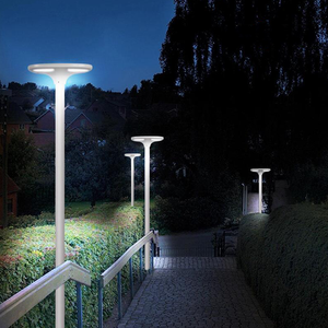 Fabricants professionnels de lampadaires LED offrant des lampadaires solaires LED et des solutions tout-en-un - Product Image 1
