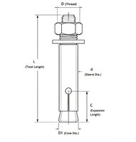 Ancres à cale en acier inoxydable à insertion directe avec boulon d'expansion interne pour application murale et ponts (ODM)