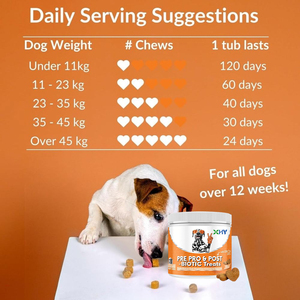 Friandises à Mâcher Molles Probiotiques Intestinales 100% Naturelles Sans Céréales Sous Marque Blanche pour Chiens et Chats – Complément Alimentaire pour la Santé - Product Image 6