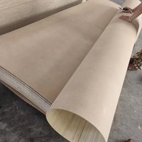 Contreplaqué en bois de Paulownia de 2 mm à 18 mm, écologique, de première qualité, certifié CE/E1, moderne, garantie 1 an, résistant à l'eau