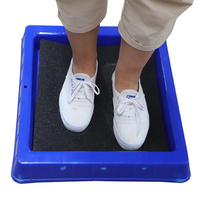 Bac de désinfection durable pour chaussures avec bac de désinfection pour semelles et bassin pour les pieds pour les élevages de bétail et les fermes porcines