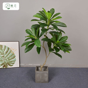 Árbol Artificial de Ficus Zhi Ji de 100cm/200cm, PVC Suave, Alta Simulación, Decoración Interior para Hogar y Hotel - Product Image 3
