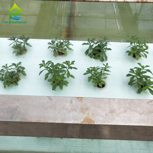 Invernaderos Pequeños con Estructura Galvanizada para Cultivo de Vegetales, Sistemas Hidropónicos Industriales con Tubería de PVC, Triangulares Verticales Estables AX149 - Product Image 6