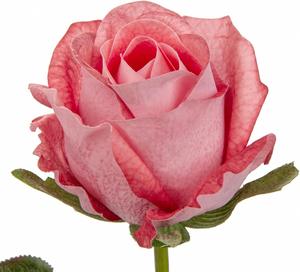 Rosas Artificiales de Tallo Largo, Rosas de Seda para Manualidades, Ramos de Boda, Centros de Mesa, Decoración del Hogar - Product Image 2