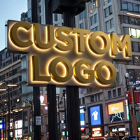 Letrero de Canal 3D Iluminado LED de Acero Inoxidable para Exteriores Personalizado, Clasificación de Impermeabilidad IP65, DC12V para Decoración