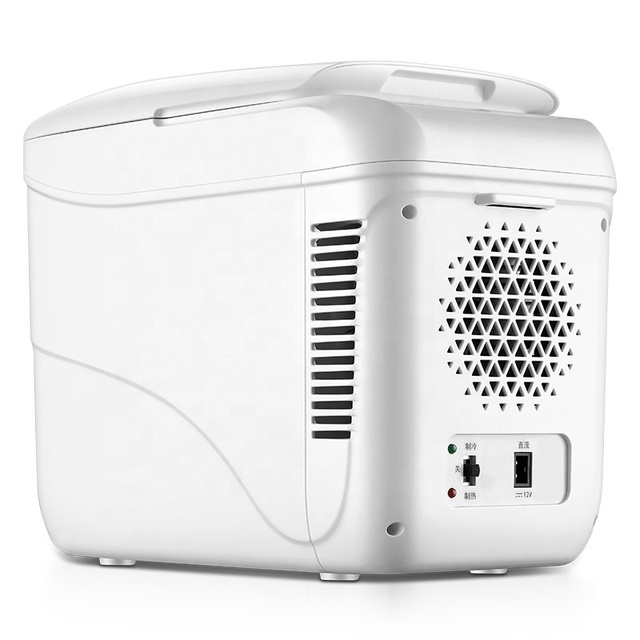 Hot Selling Special Design Cooler and Warmer Cosmetic Mini Fridge Small Refrigerator