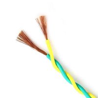 Câbles électriques en cuivre massif torsadés à deux conducteurs RVS PVC pour usage en bâtiment