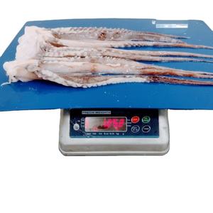 ปลาหมึกหนวดยักษ์แช่แข็ง - Product Image 1