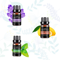 Set Minyak Esensial Alami 100% Murni 6 Botol - Lavender, Serai, Eucalyptus, dan Minyak Mint - 10ml