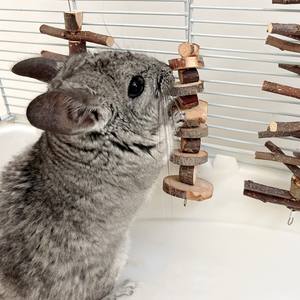 Bâton à mâcher chaîne à mâcher pour hamsters cochons <span class=keywords><strong>d</strong></span>'<span class=keywords><strong>inde</strong></span>-dents en <span class=keywords><strong>bois</strong></span> meulage pomme branche herbe boule herbe gâteau-jouets à mâcher pour animaux <span class=keywords><strong>de</strong></span> compagnie - Product Image 3