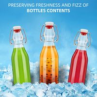 Bouteilles en verre à bouchon basculant 8,5 oz de qualité alimentaire compatibles avec les diffuseurs à bâtonnets pour la fermentation de bière, de vinaigre et de limoncello