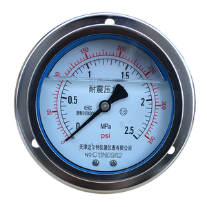 Manómetro Axial Resistente a Vibraciones YN-100ZT 0-2.5MPa para Medición de Presión Hidráulica, Neumática, de Aceite y Agua - Product Image 1