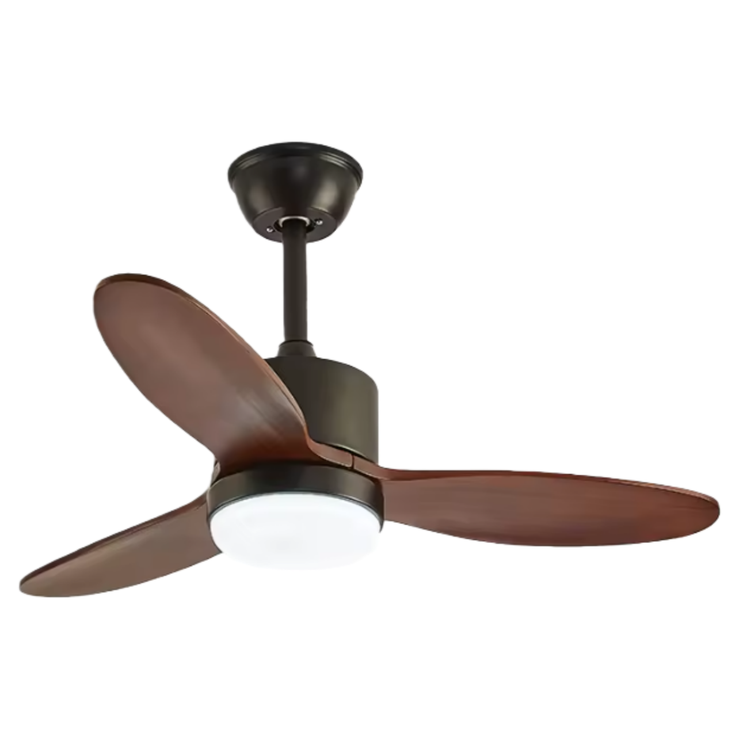 วอลนัทดำ