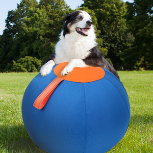 New Herding <b>Ball</b> <b>Dog</b> Toy <b>Balls</b> Herding <b>Ball</b> For <b>Dogs</b> Pet Herding <b>Ball</b> Sport and Classic Style Durable <b>Dog</b> Horse Pet Herding <b>Ball</b> - Product Image 6