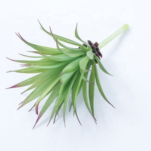 Piante <span class=keywords><strong>Succulente</strong></span> Artificiali Singole di Alta Qualità, Splendide Piante Finte <span class=keywords><strong>in</strong></span> Plastica con Effetto Realistico al Tatto - Product Image 1