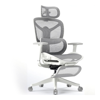 Support lombaire réglable, pivotant à 360 °, chaise de bureau ergonomique en maille avec dos en maille respirante pour le bureau à domicile