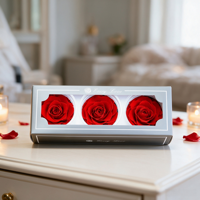 Roses rouges préservées, têtes de fleurs de 7-8 cm, rose éternelle, cadeau de la Saint-Valentin pour petite amie, décoration de la maison, vente en gros