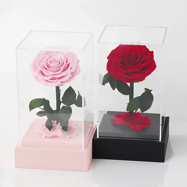 Ammy оптовая продажа, подарок на день Святого Валентина, сохраненные розы для девушки, цветы в акриловой подарочной коробке, натуральная вечная длинная роза с одним стеблом