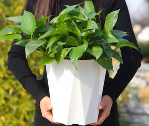 Vasi di fiori per centro commerciale a forma di diamante per la casa <span class=keywords><strong>da</strong></span> <span class=keywords><strong>soggiorno</strong></span> fiori <span class=keywords><strong>piante</strong></span> verdi vasi di grandi dimensioni - Product Image 4